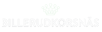BillerudKorsnäs logo