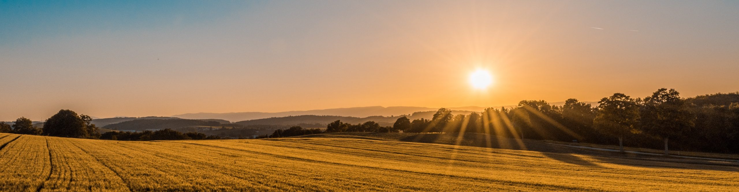 “Why are boosst not changing anything in my Portfolio?”