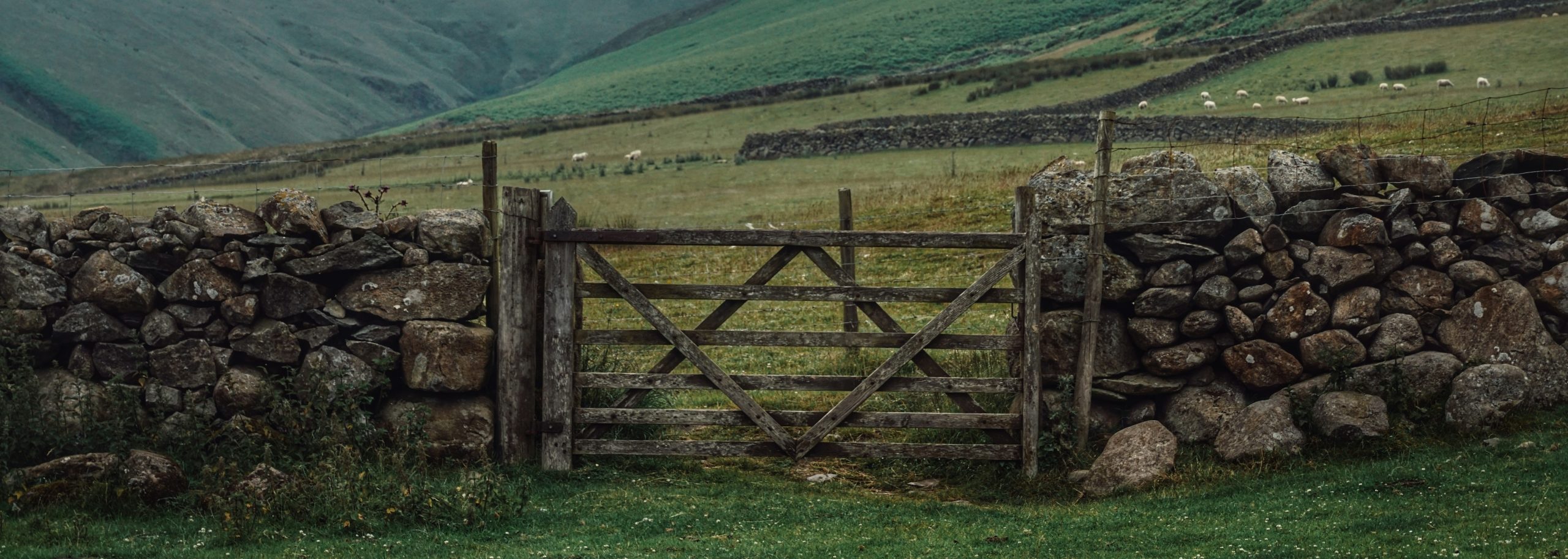 Personal Cybersecurity – The Gate You Can Close
